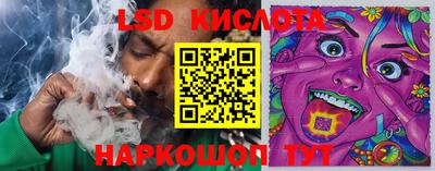 гидропоника Будённовск