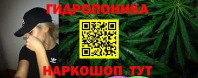 гидропоника Будённовск