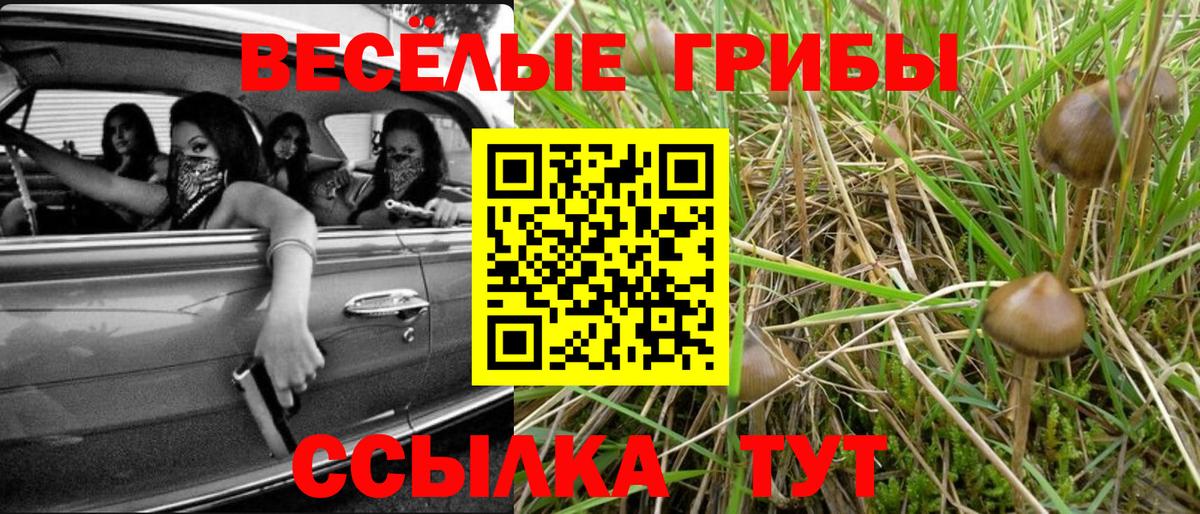 Псилоцибиновые грибы Psilocybe  Вход с VPN  Котовск  Псилоцибиновые грибы Psilocybe 