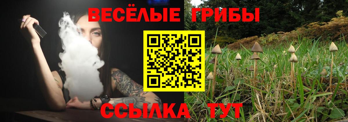 Галлюциногенные грибы GOLDEN TEACHER Котовск