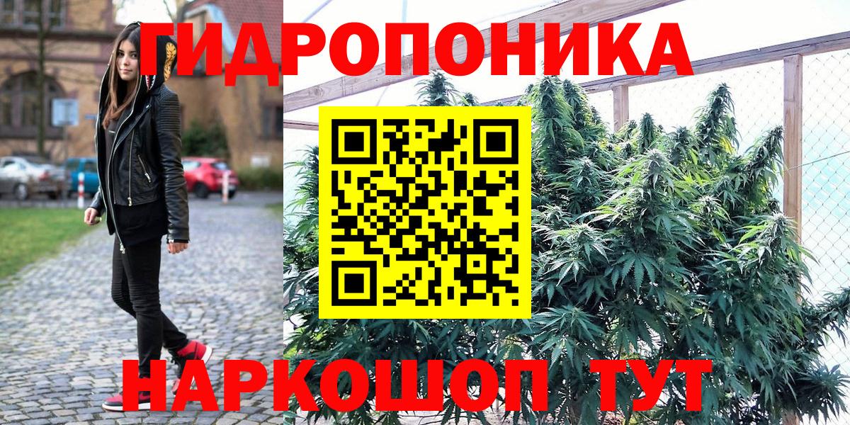 Канабис Ganja  Канабис SATIVA & INDICA  Вход с VPN  Котовск 